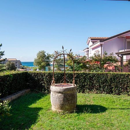 Holiday Apartment 50M From The Beach Pjescana Uvala Eksteriør billede